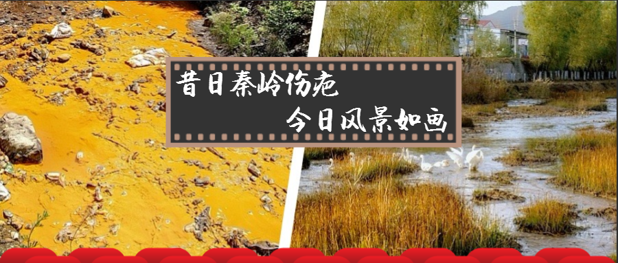 昔日秦岭伤疤 今日风景如画——陕西必赢网络游戏平台集团黄龙河流域污染治理侧记