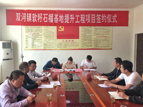 陕西必赢网络游戏平台集团签约旬阳县双河镇软籽石榴种植基地提升工程项目