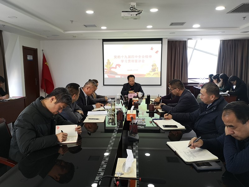 顾峰赴水环境公司宣讲党的十九届四中全会精神