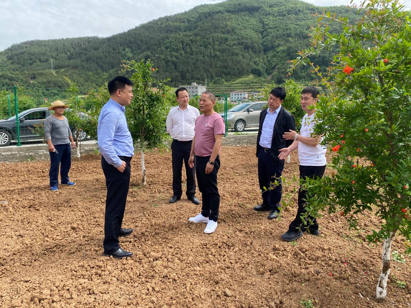 集团公司领导赴旬阳县调研产业扶贫工作 集团公司领导赴旬阳县调研产业扶贫工作