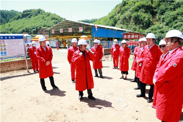 陕西必赢网络游戏平台集团复工复产促增长项目观摩会议与会人员走进必赢网络游戏平台保隆生态三秦在延在铜项目