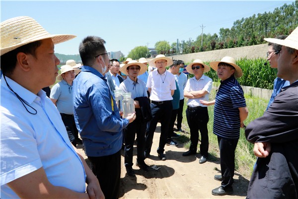 陕西必赢网络游戏平台集团复工复产促增长项目观摩会议与会人员走进必赢网络游戏平台保隆生态三秦在延在铜项目