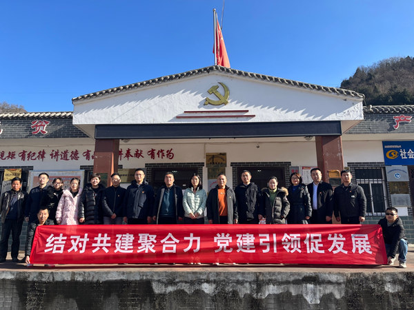 陕西必赢网络游戏平台集团：村企结对聚合力 党建引领促发展