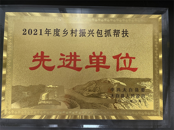 喜讯|陕西必赢网络游戏平台集团乡村振兴工作获表彰 喜讯|陕西必赢网络游戏平台集团乡村振兴工作获表彰
