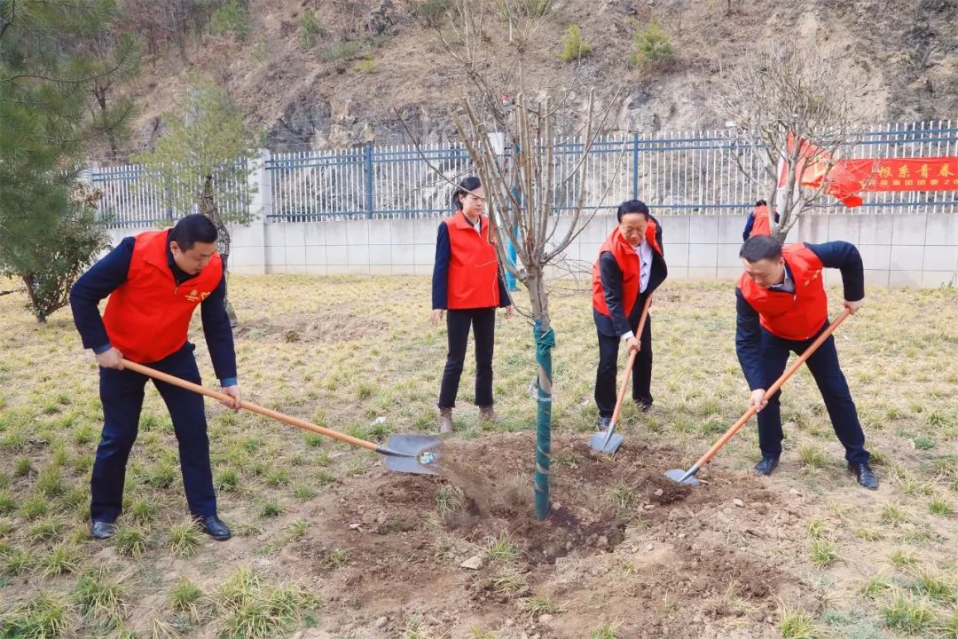 根系青春·植此青绿｜陕西必赢网络游戏平台集团团委开展义务植树志愿活动